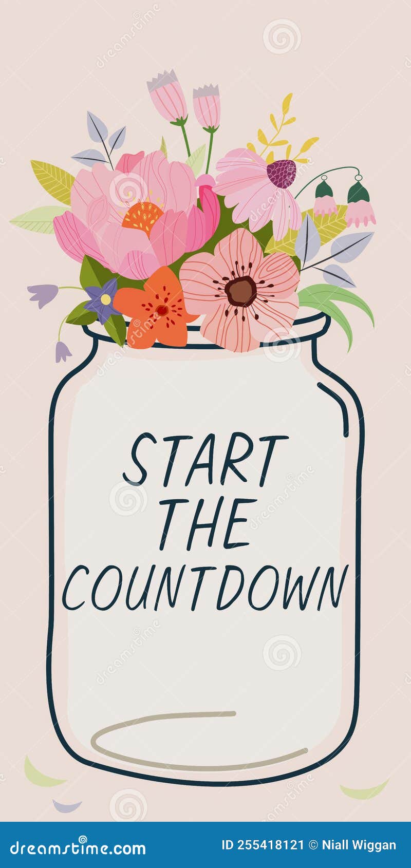 Conceptual Display Start the Countdown. Concept Meaning Sequence of