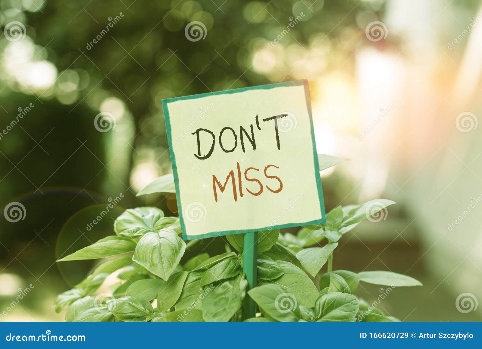 Conceptual Hand Writing Showing Don T Miss Business Photo Text Comanalysisding Them Not To Miss Out An Opportunity Or Stock Image Image Of Challenge Countdown