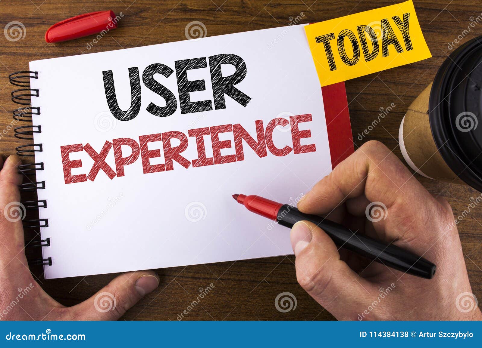 Experience with essay writers