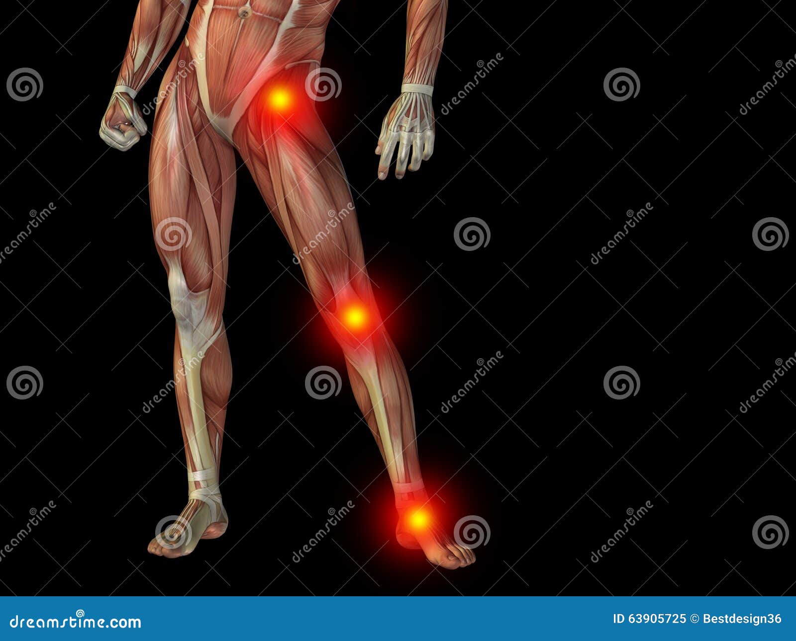 12,513 Human Anatomy Pain Photos - Free & Royalty-Free Stock Photos