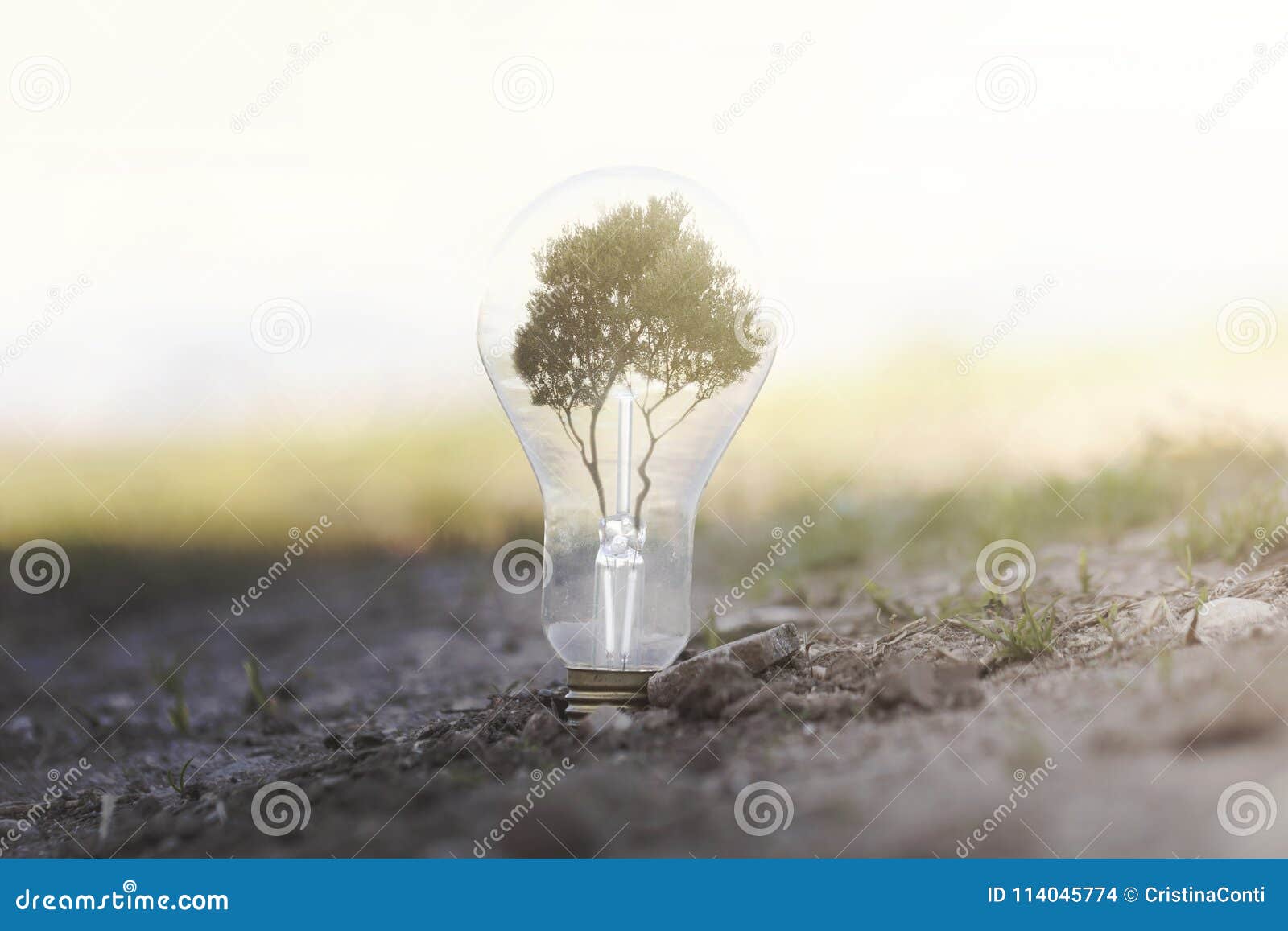 conceptual image of renewable energy