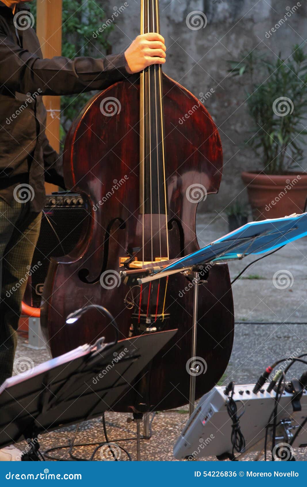 Concert with cello stock photo. Image of cellist, closeup 54226836