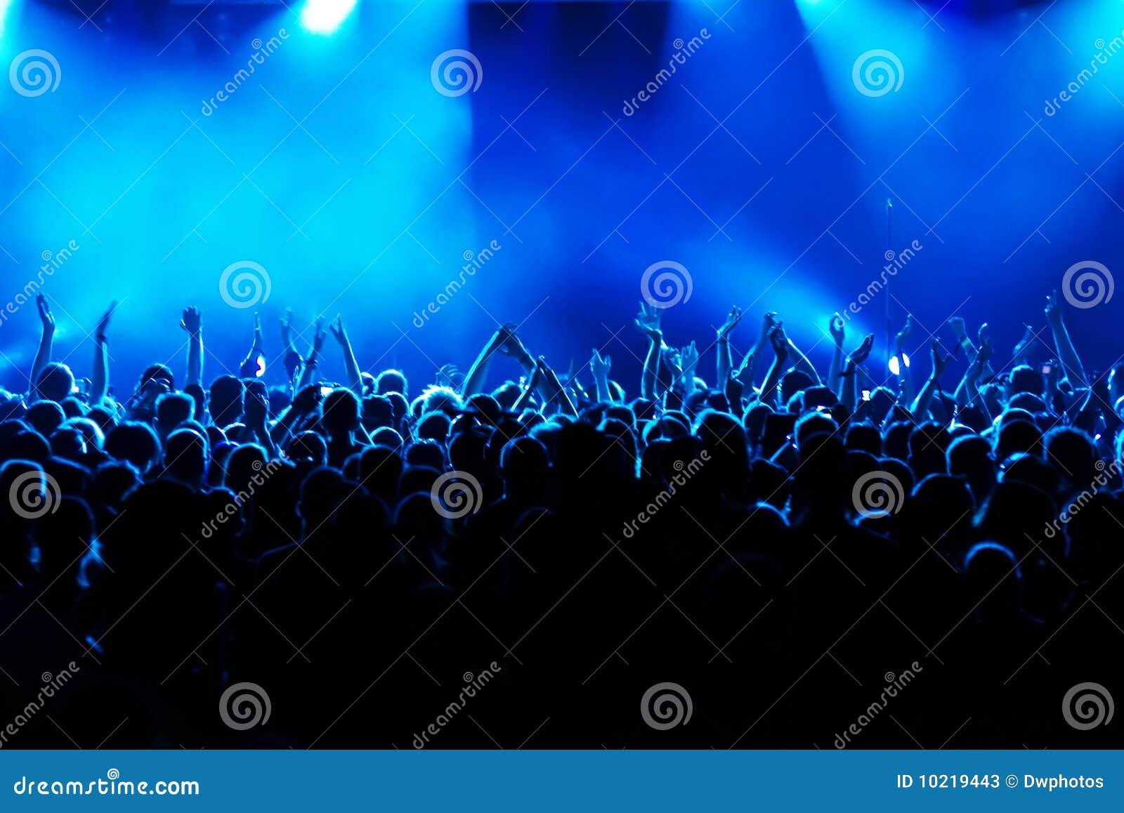 concert crowd