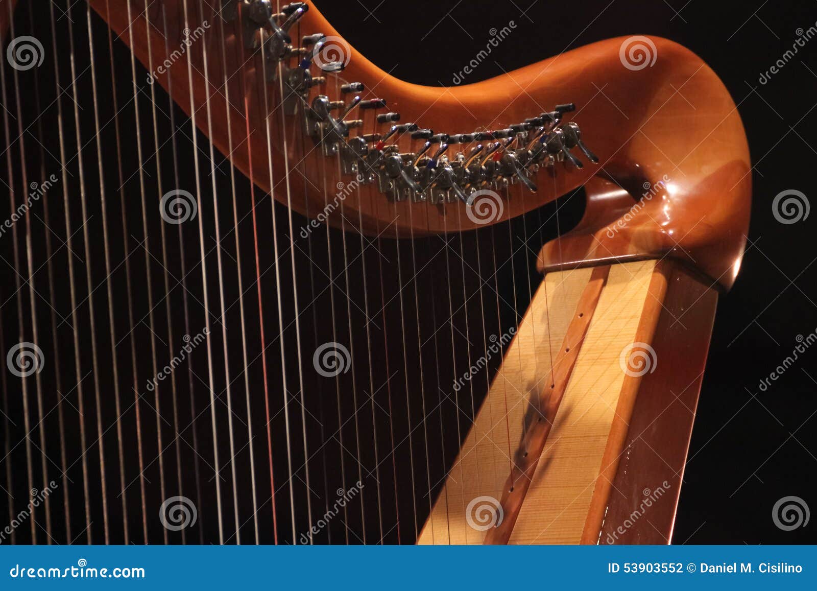 concert harp. close up.