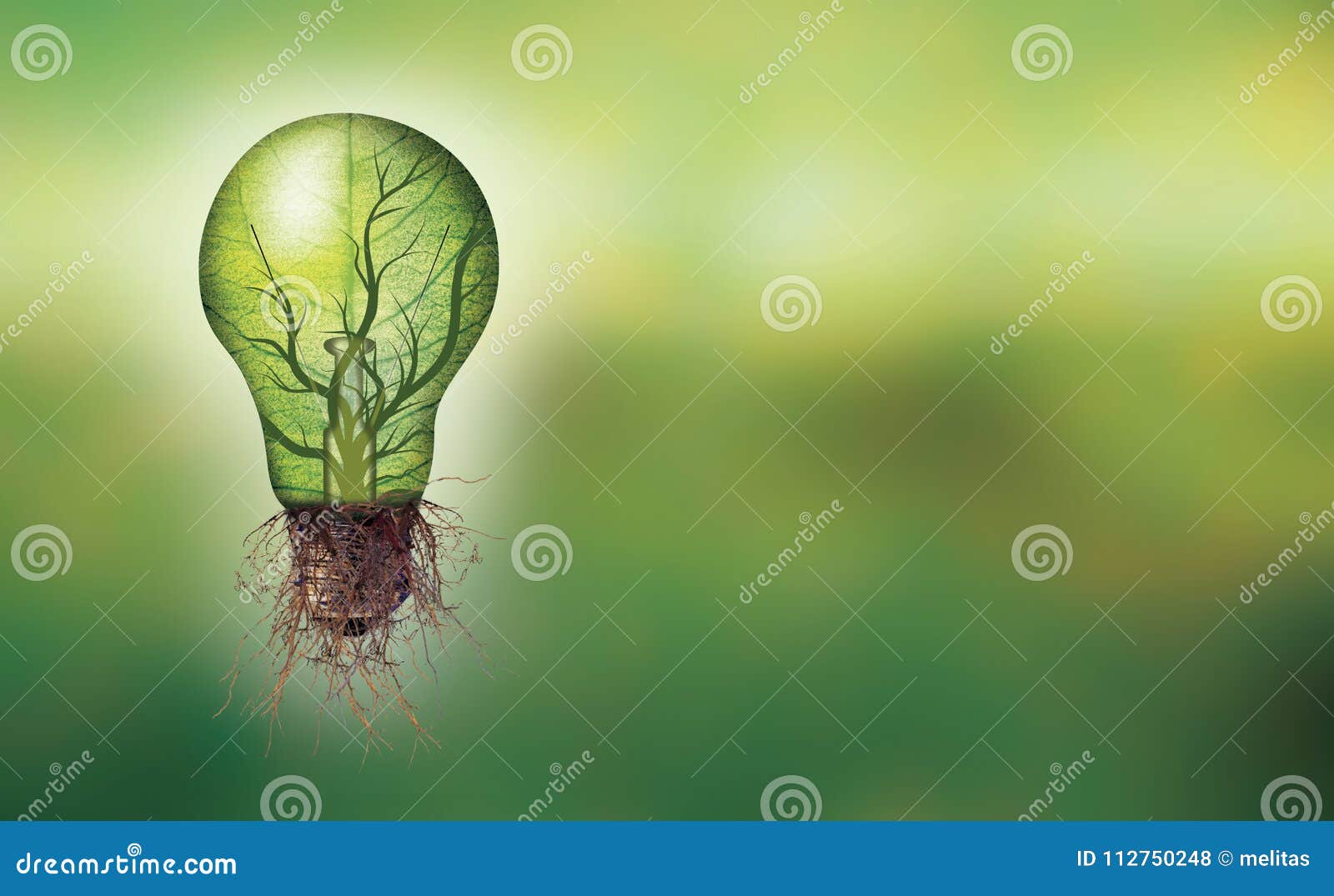 banner renewable energy concept - eco light bulb with leaf and branches inside and roots