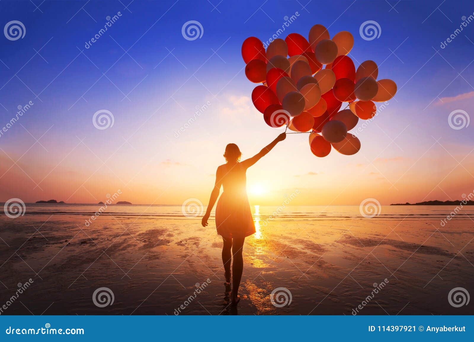 2 850 902 Gioia Foto Foto Stock Gratis E Royalty Free Da Dreamstime