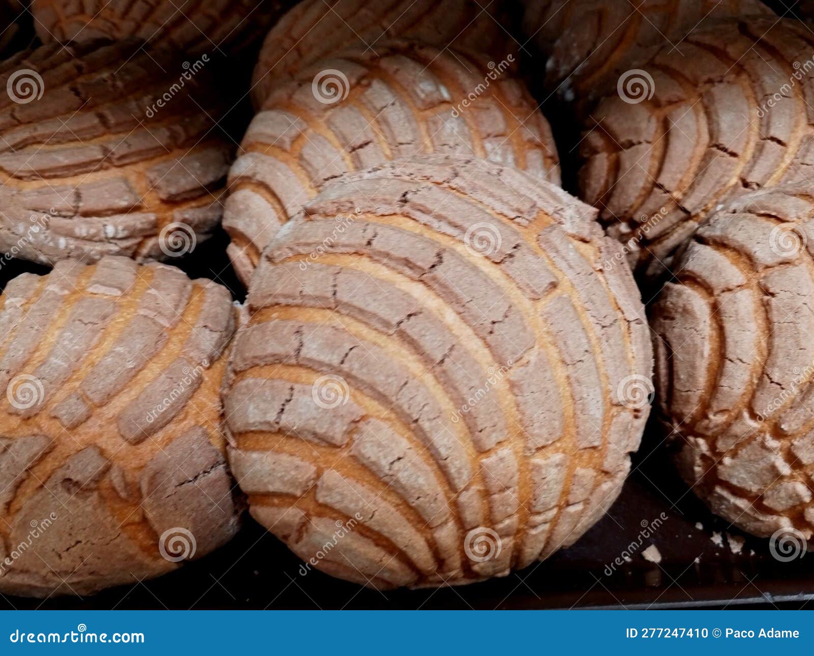 concha pan dulce mÃ©xico sweet bread of mexico