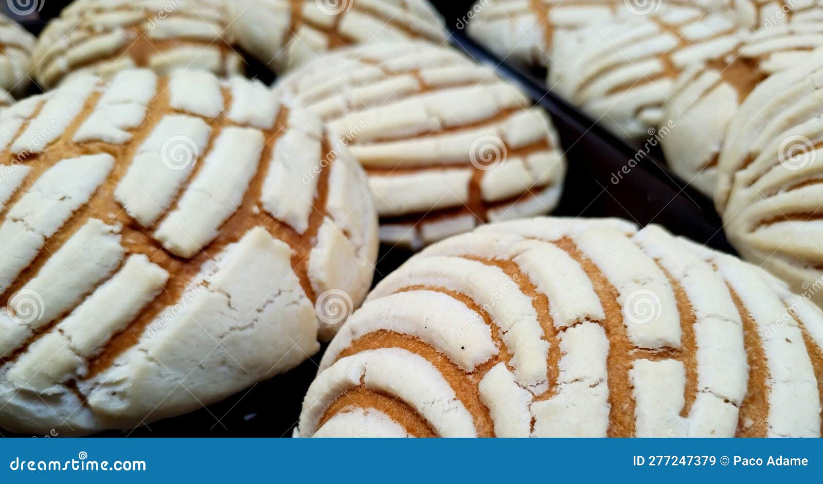 concha pan dulce mÃ©xico sweet bread of mexico