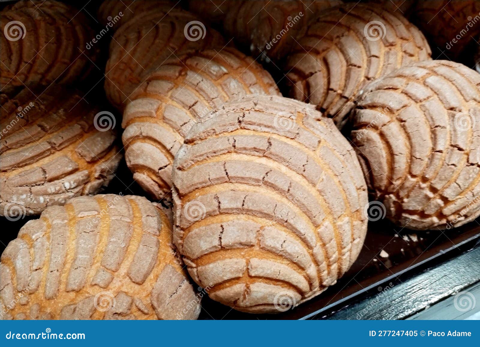 concha pan dulce mÃ©xico sweet bread of mexico