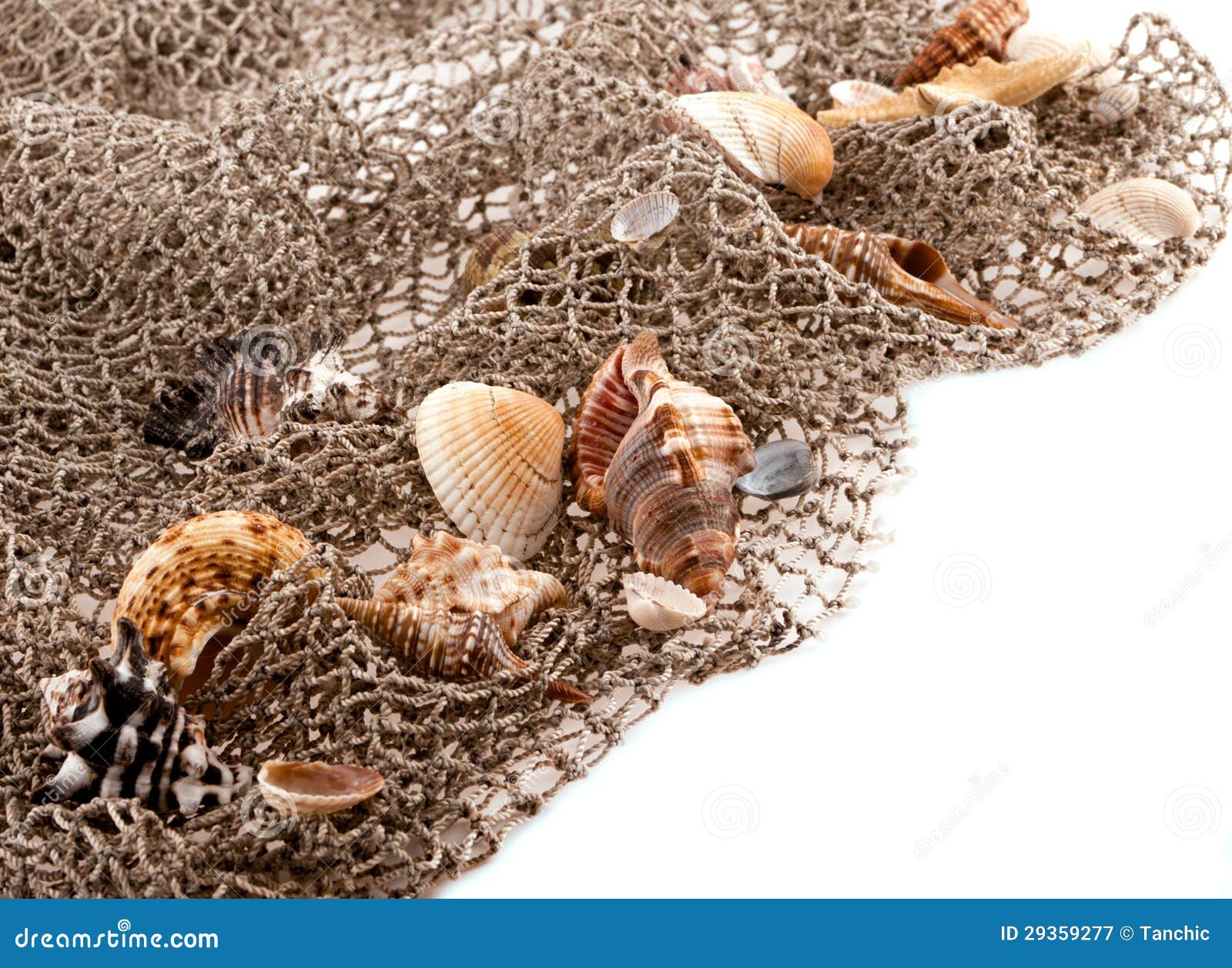 Maver Smart Exel 57 Filo Da Pesca Giapponese Per Terminali 50 Mt