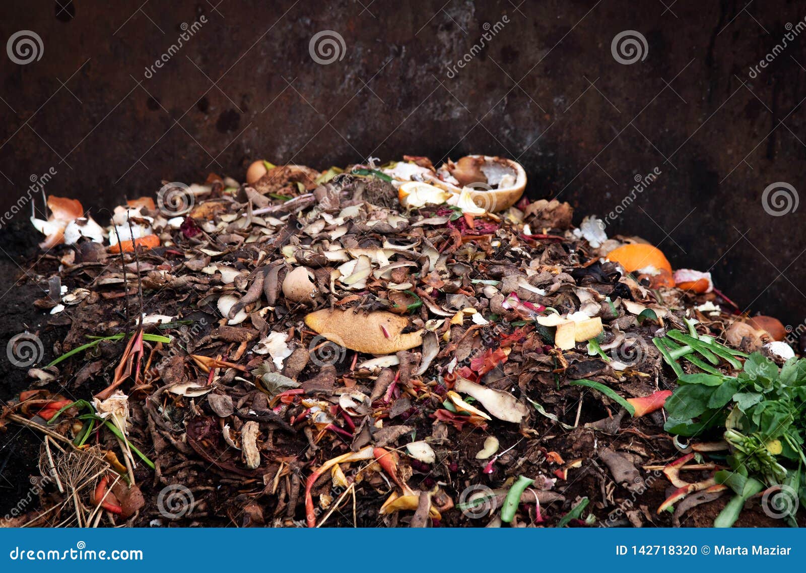 mani uomo giardinaggio guanti mostrare qualità di legno segatura pacciame o  decomporsi rifiuti organici su cumulo di compost Foto stock - Alamy