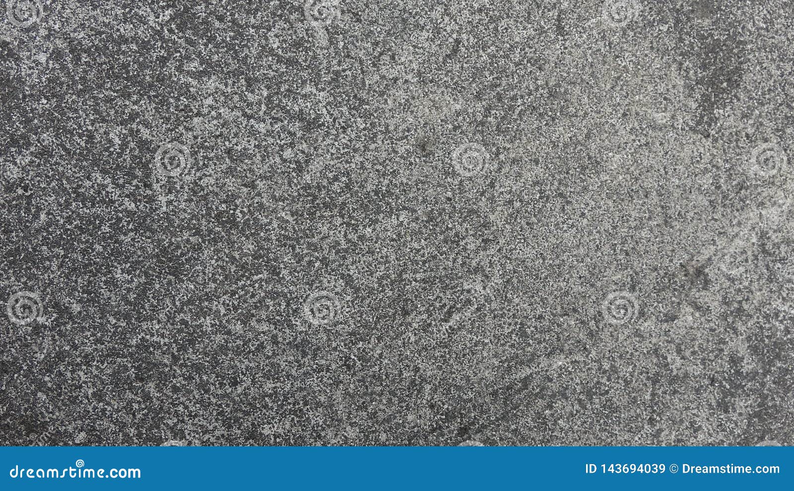 Concrete Is Also Moldy, Fungi Are Really Everywhere Stock Image - Image