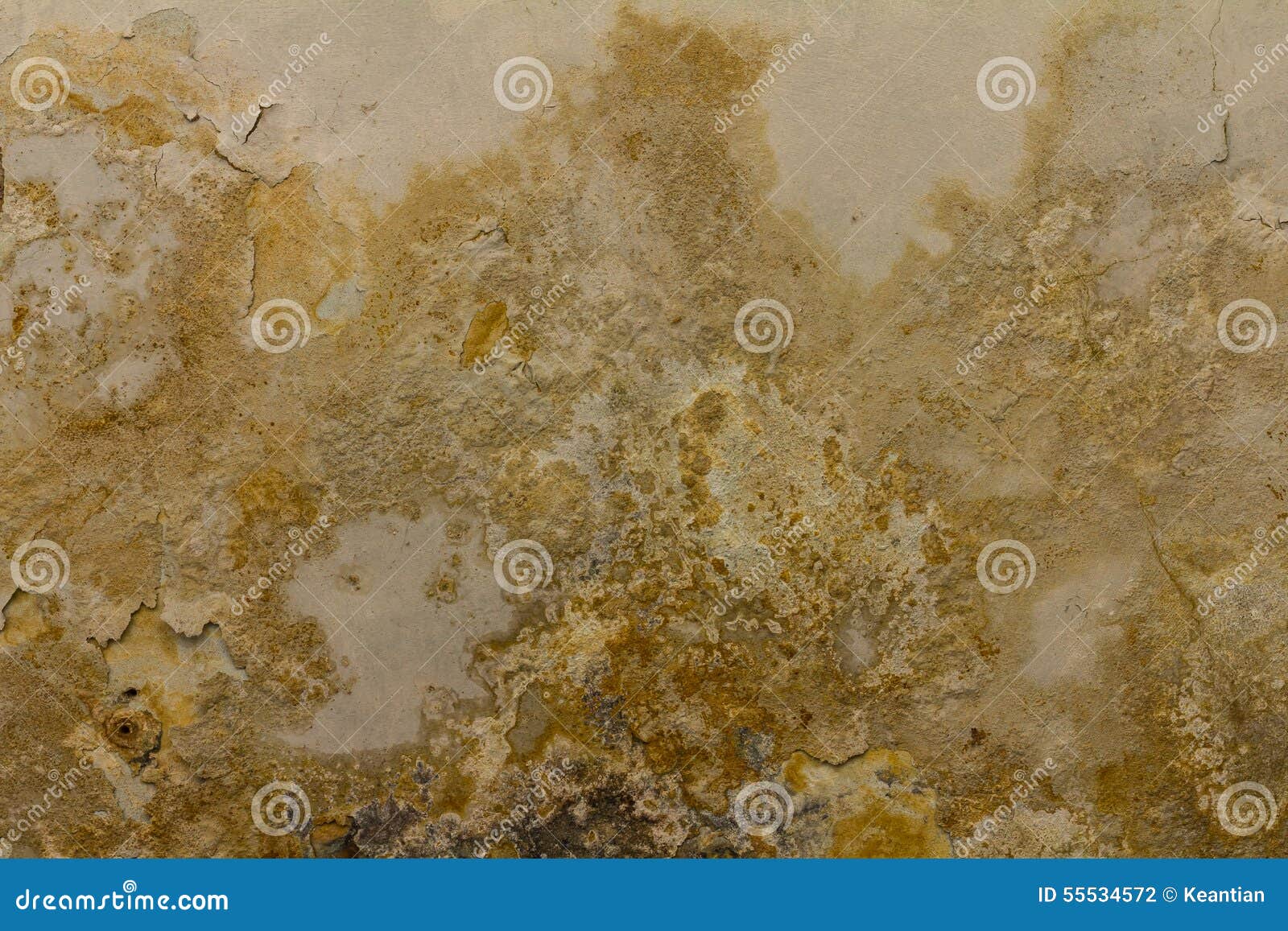 Concrete Ceiling Erosion Stock Photo Image Of Design 55534572