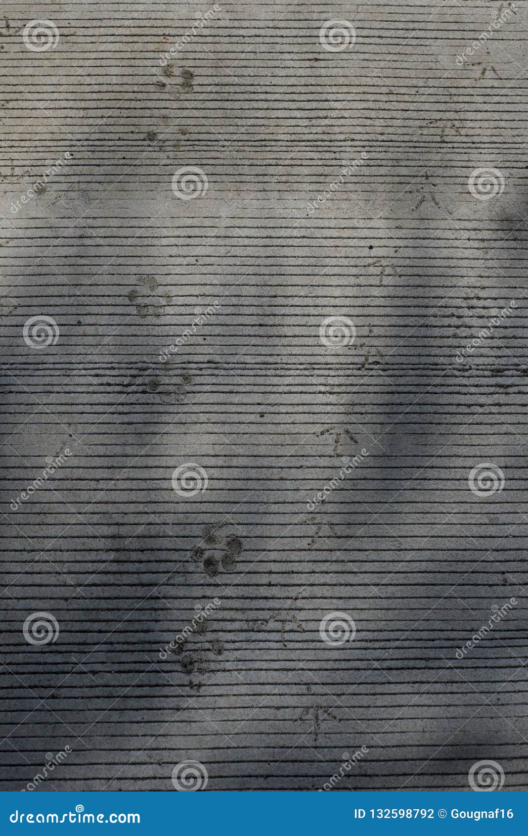 Concrete Floor with Lines, Dog`s Paws, and Bird`s Feet Prints Stock