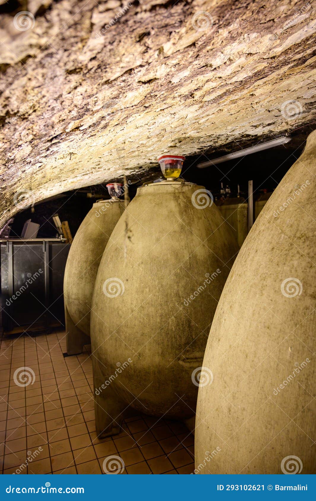 concrete tanks eggs. visit of undergrounds caves, traditional producing of champagne wine in cote des bar, aube, south of