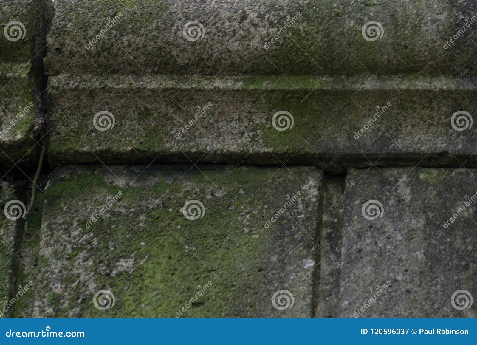 Concrete Texture with Moss Caused by Damage from the Ocean. Stock Image
