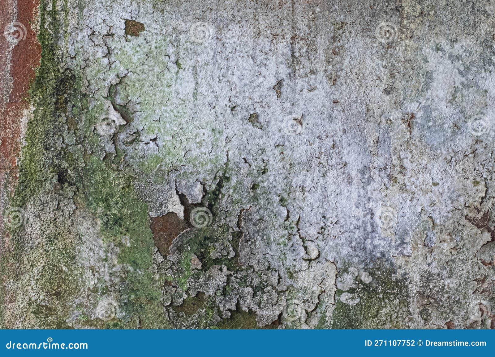 Concrete Wall with Green Mold and Cracks Background Texture Stock Photo