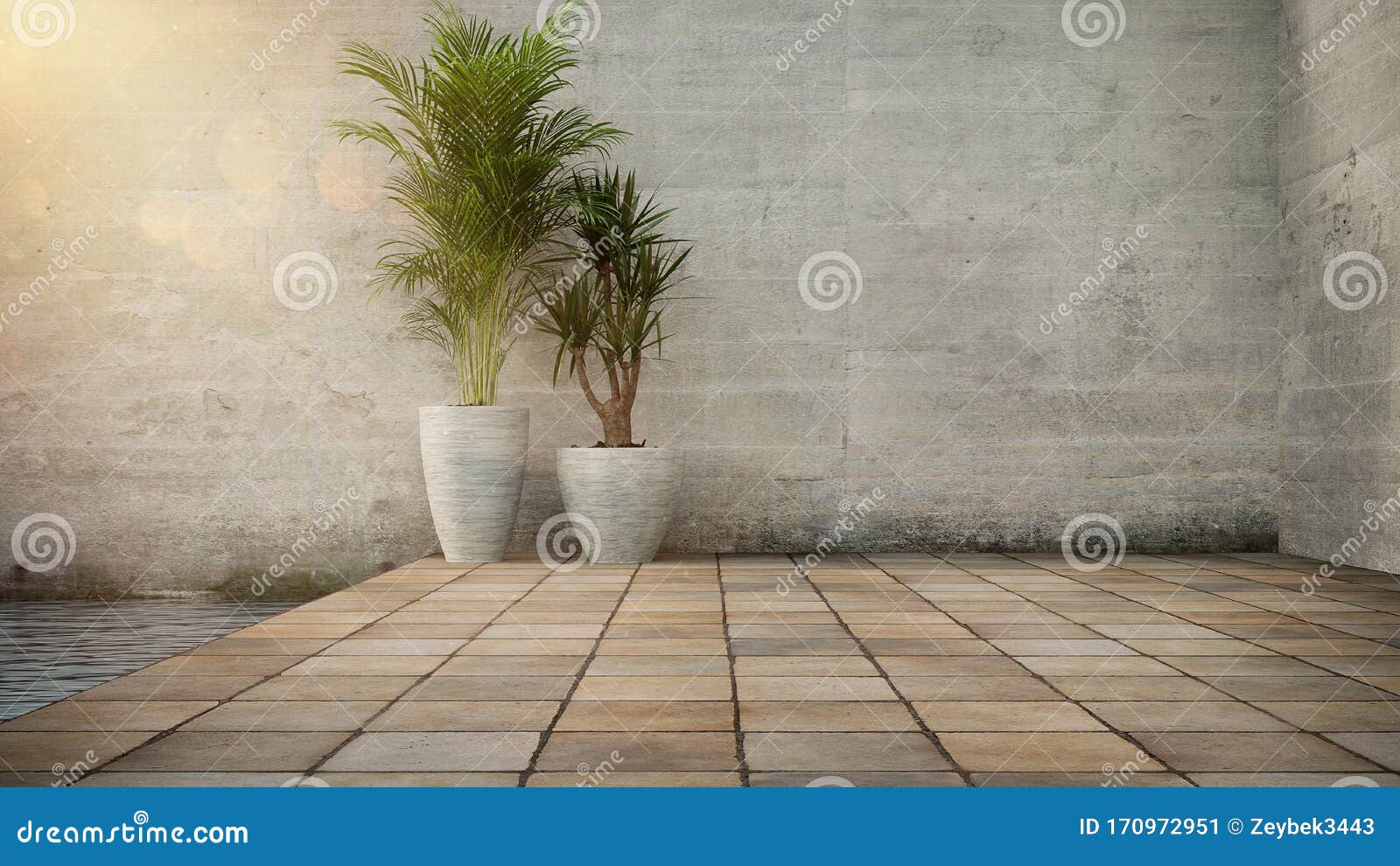 Concrete Wall and Plant in Pot on Stone Flooring Tile, Background ...