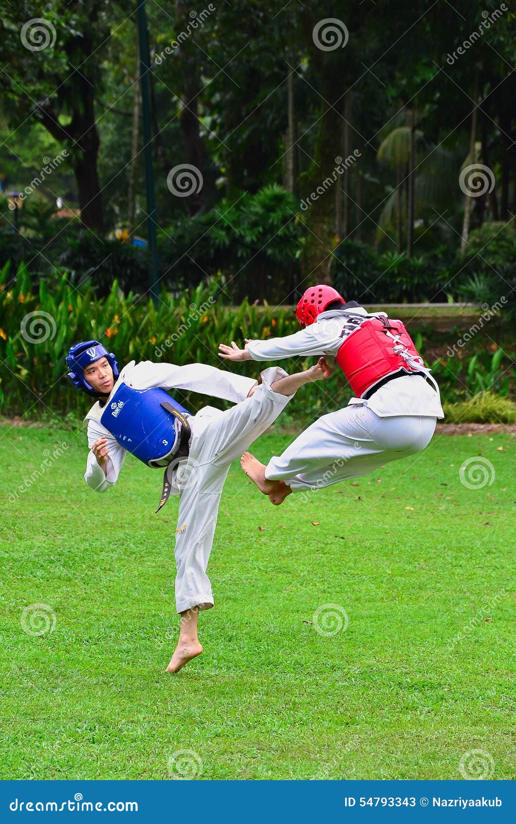 Concurrents D'arts Martiaux Dans L'action Photo stock éditorial Image