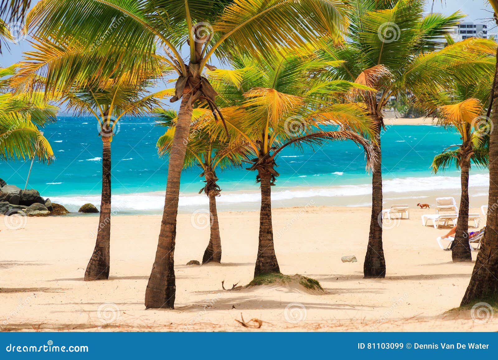 condado palm beach