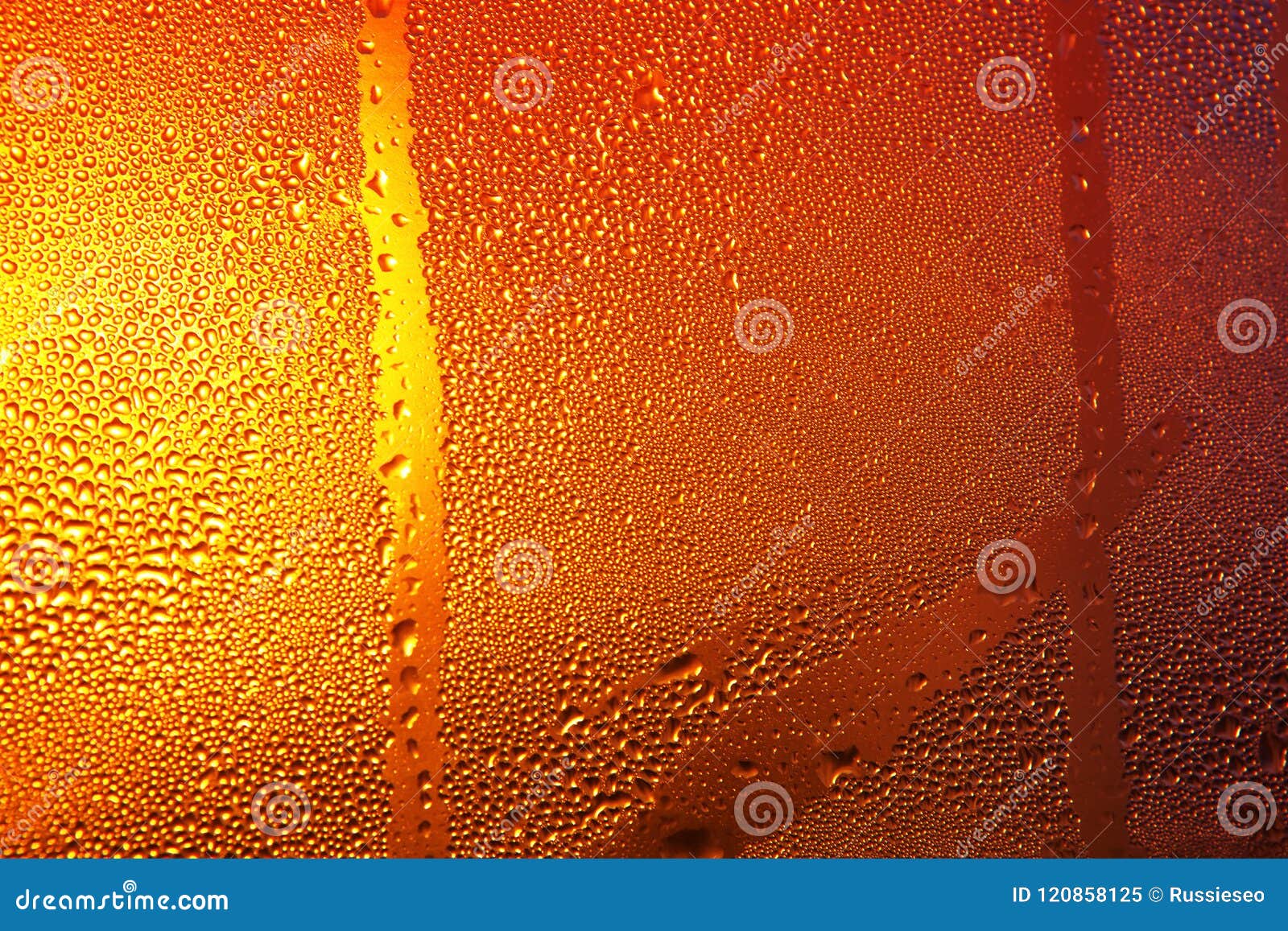 Condensation on the Beer Bottle Stock Image Image of sunlight