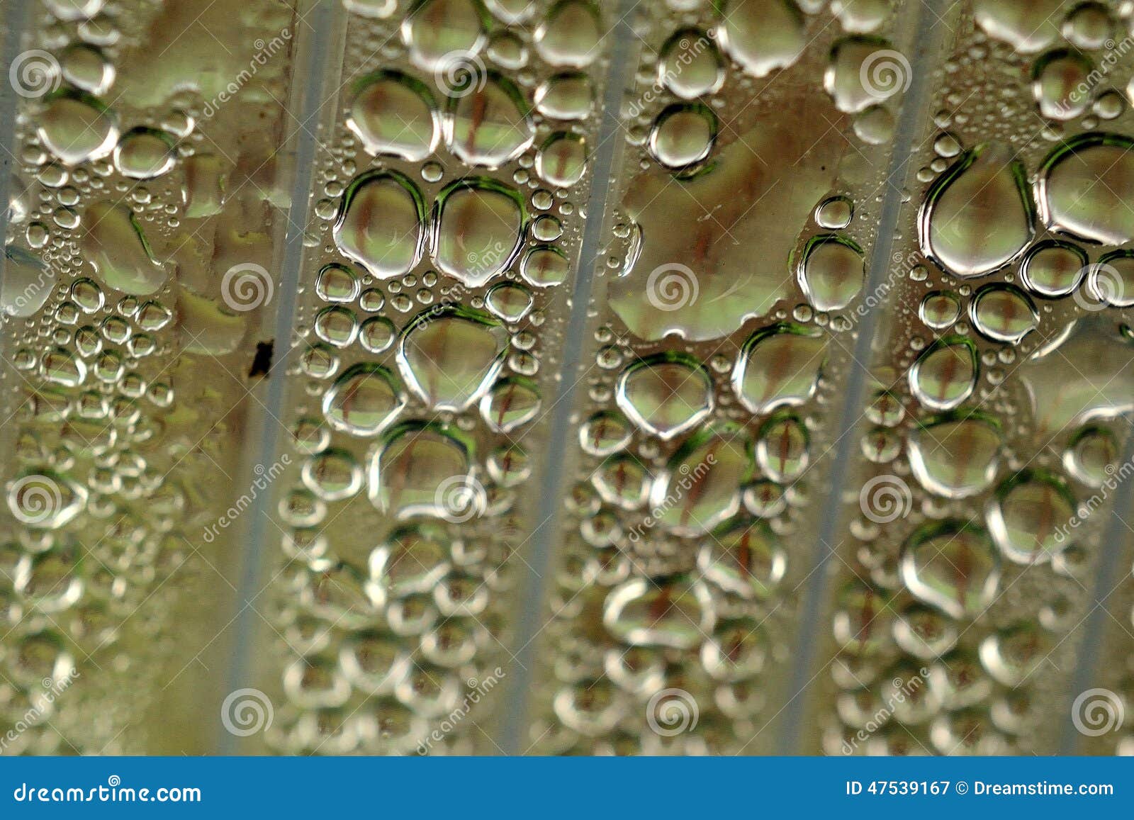Condensation stock image. Image of greenhouse, reflection 47539167