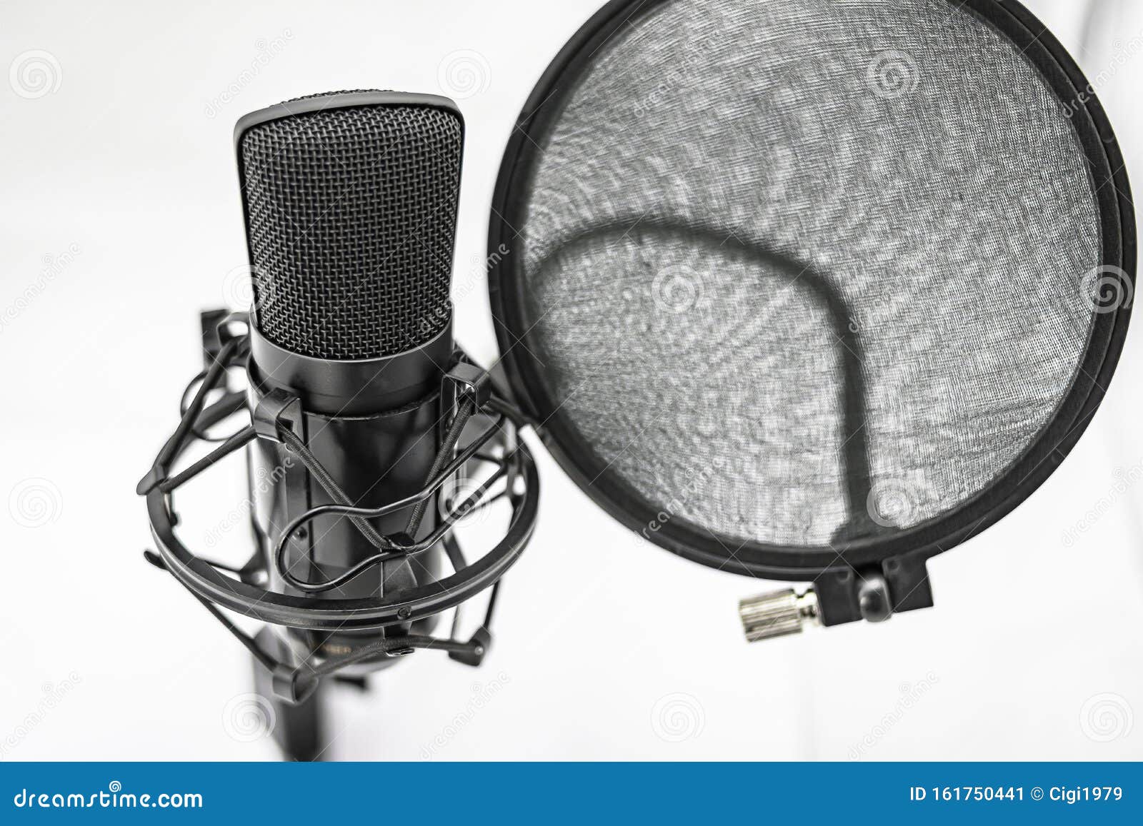 condenser microphone with spider holder and antipop filter