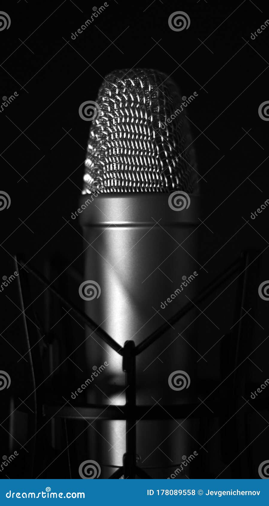 Condenser Studio Mic with a Shock Mount Stock Photo Image of acoustic