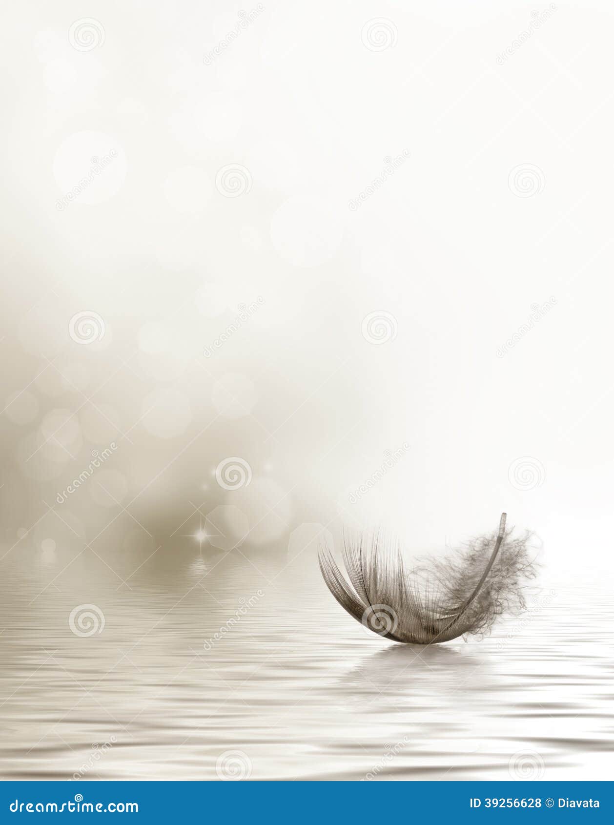 condolence sympathy design feather drifting water 39256628