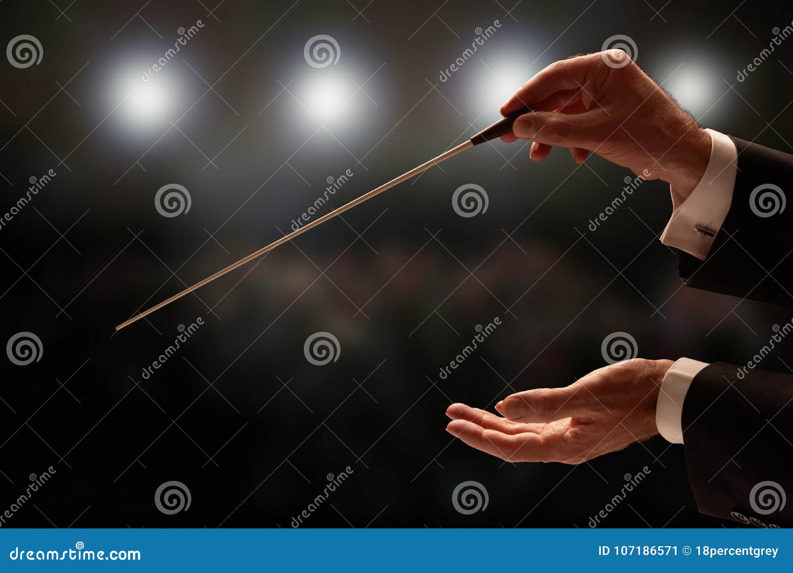 Conductor Conducting an Orchestra Stock Image Image of director