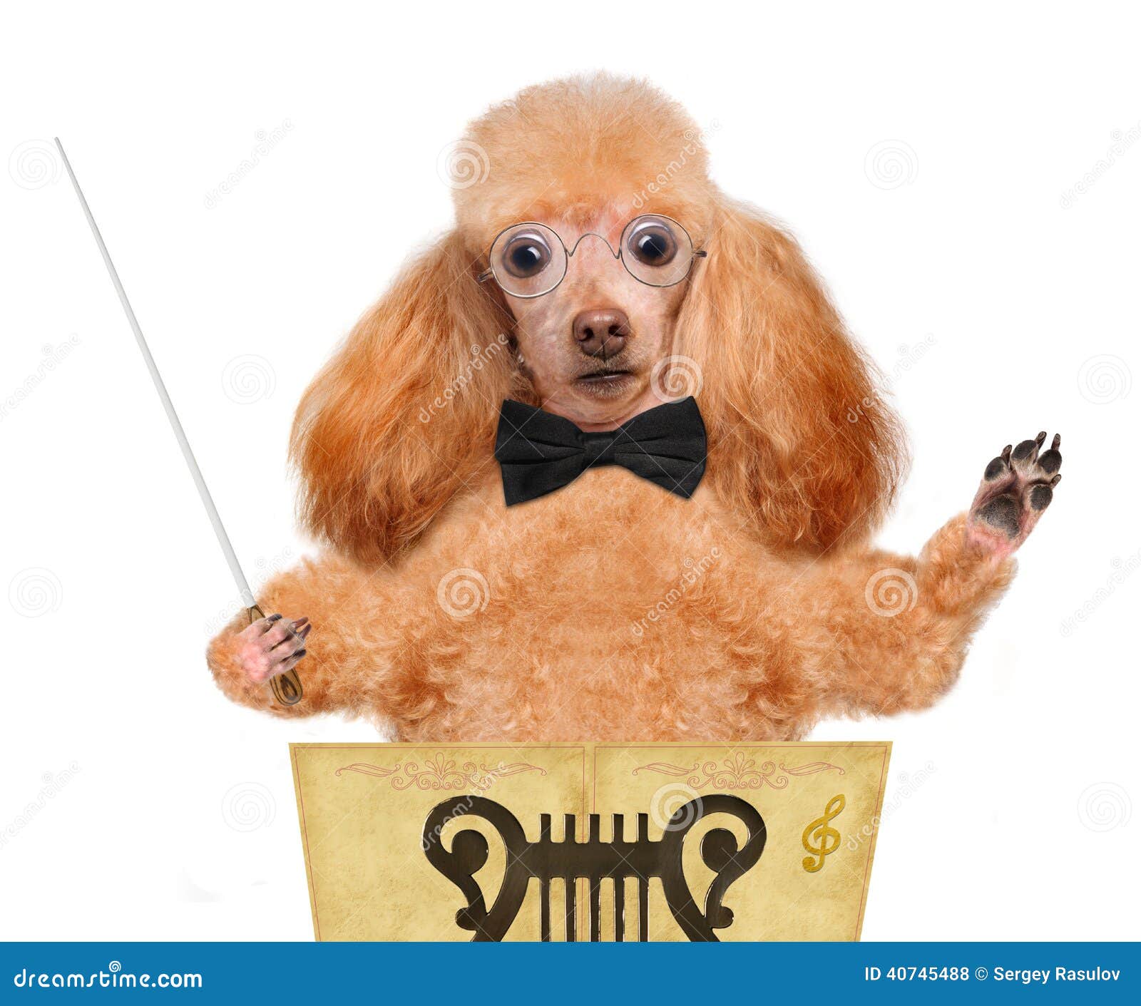 Conductor stock photo. Image of conductor, lovely 40745488