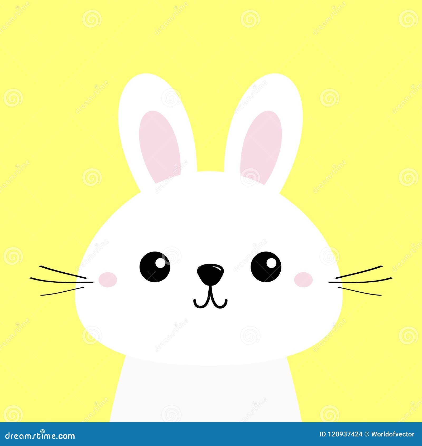 pics Bebe Dibujo Conejo Animado conejo de conejito blanco cara