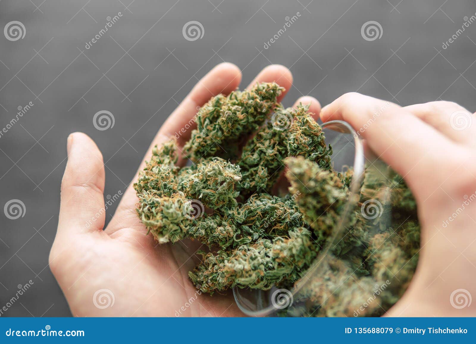 Cones of Cannabis Flowers of Cannabis Marijuana Weed Stock Image