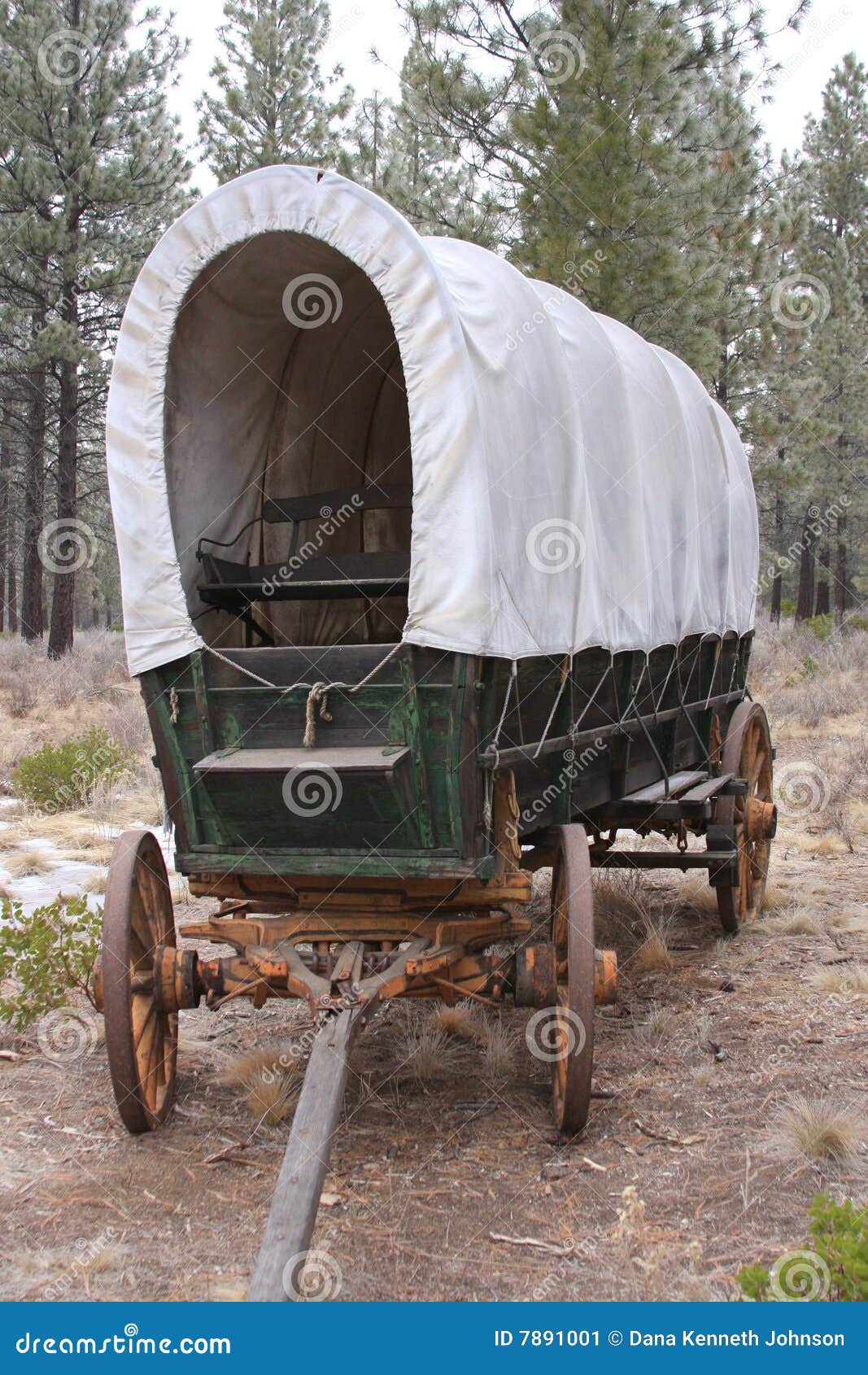 conestoga wagon