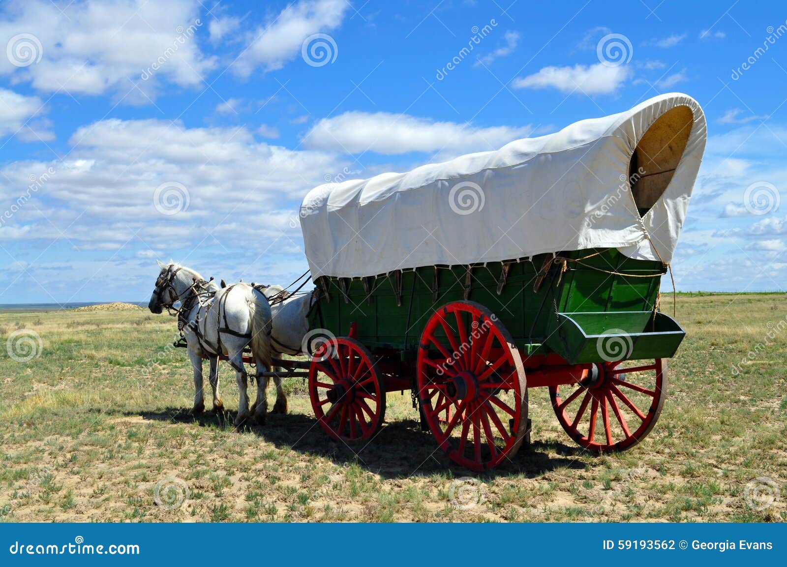 a conestoga wagon pulled by team of horses