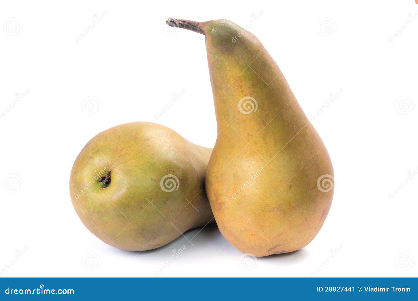 Conference pears stock image. Image of pear, health, conference 28827441
