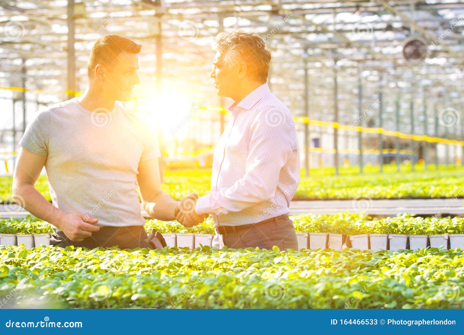 confident businessman shaking hands with male botanist in greenhouse