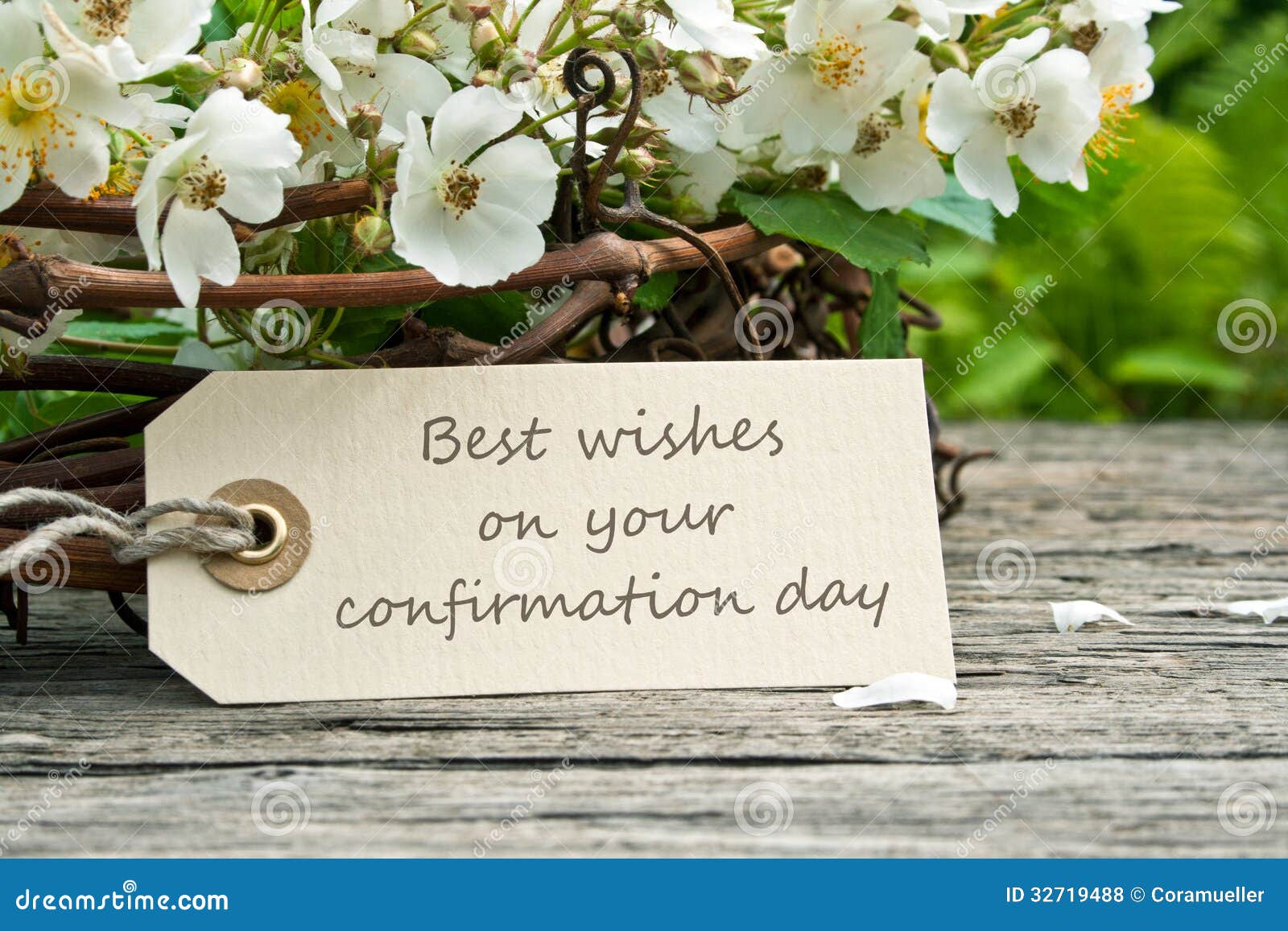 Confirmation stock photo. Image of religion, wishes, twig 32719488