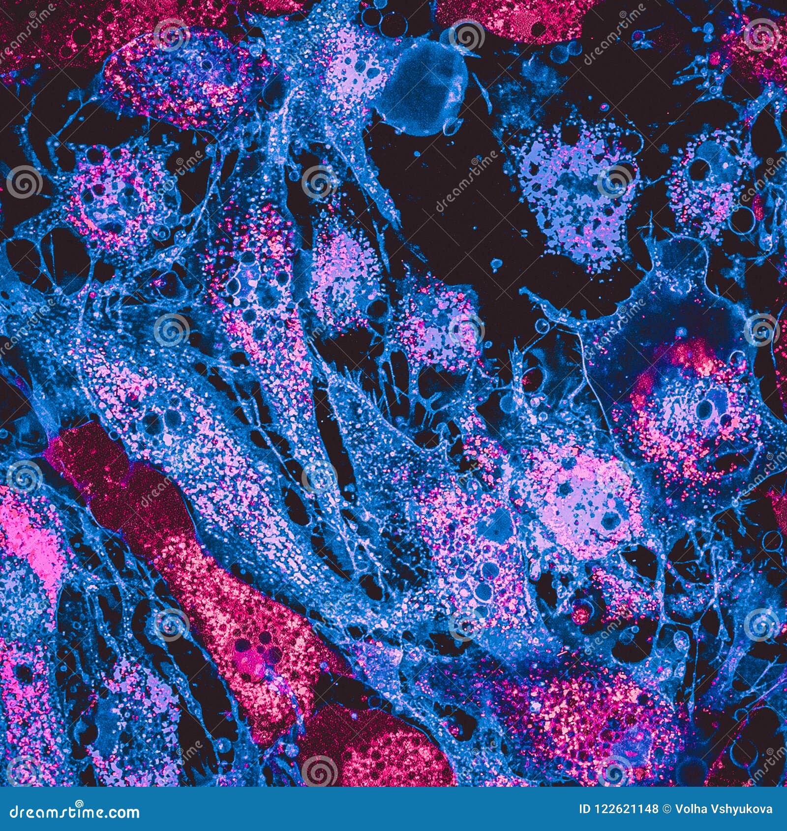 confocal image of mitochondria