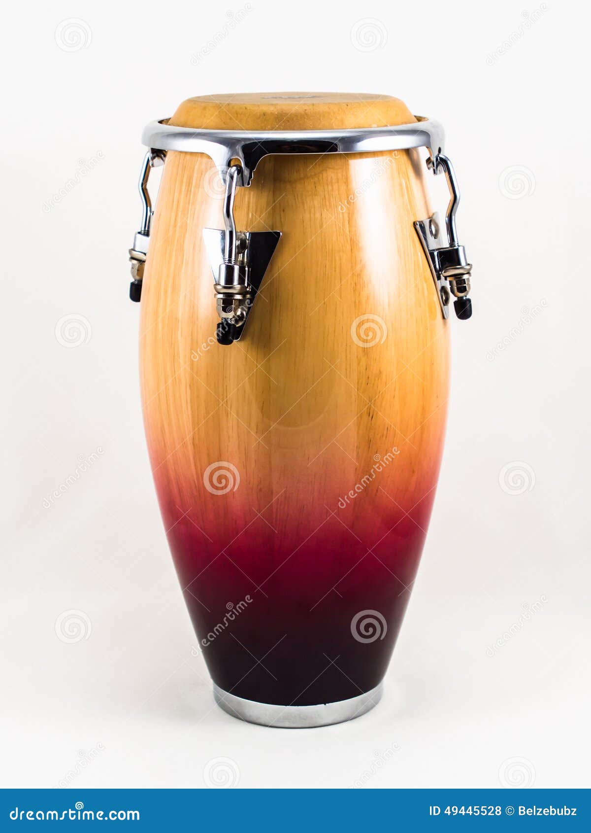 Conga on white background. stock photo. Image of isolated 49445528