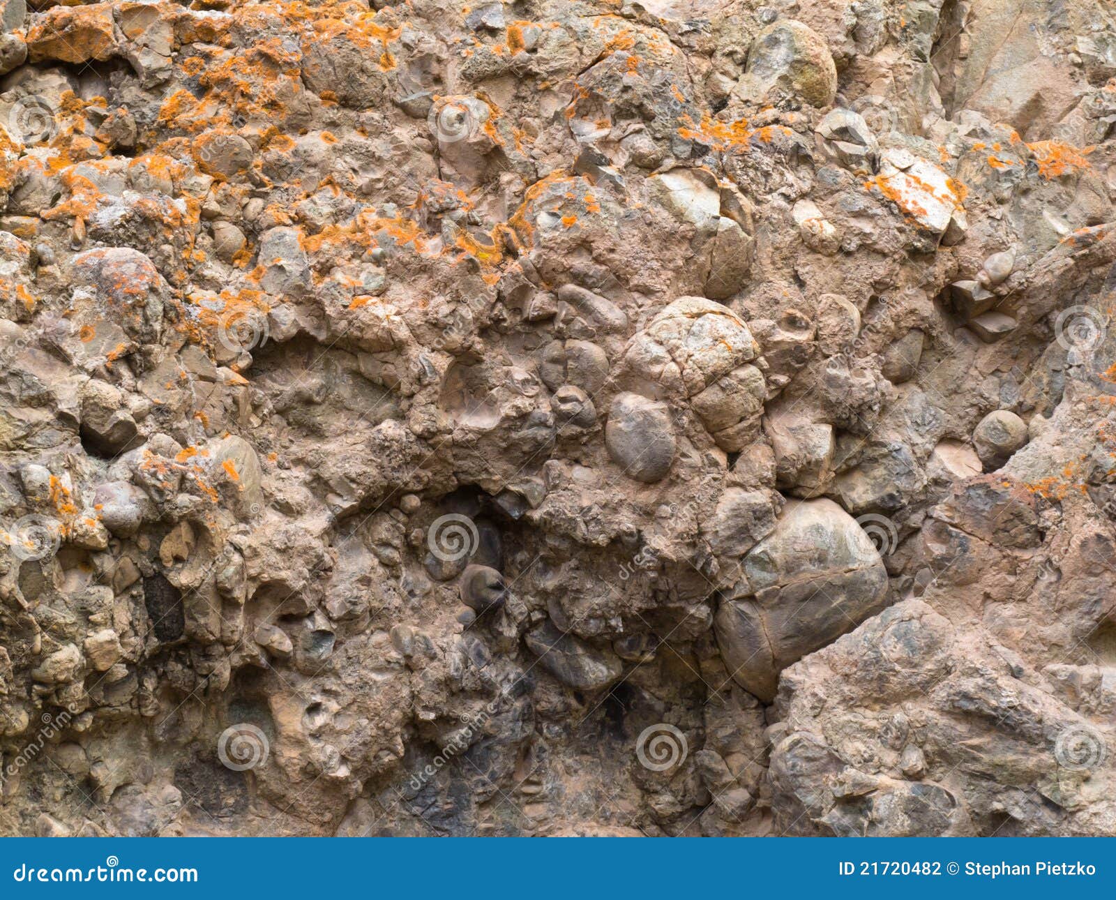 conglomerate of sedimentary deposit plus lichens