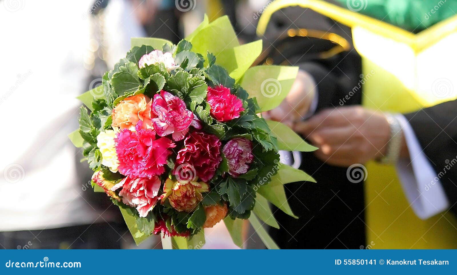 Congratulation Flower Bouquet Stock Image Image of student, flower