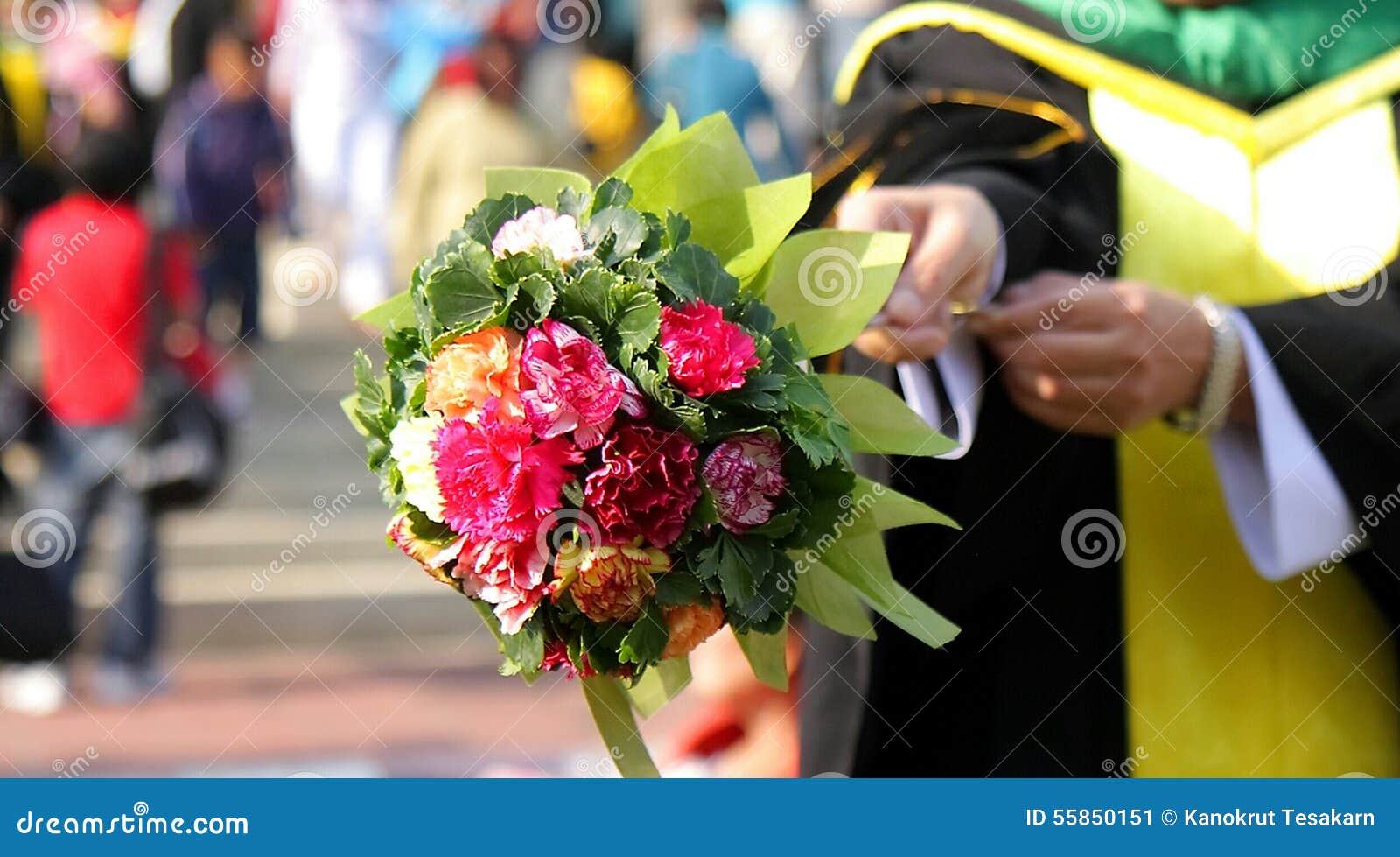 Congratulation Flower Bouquet Stock Image Image of rose, student