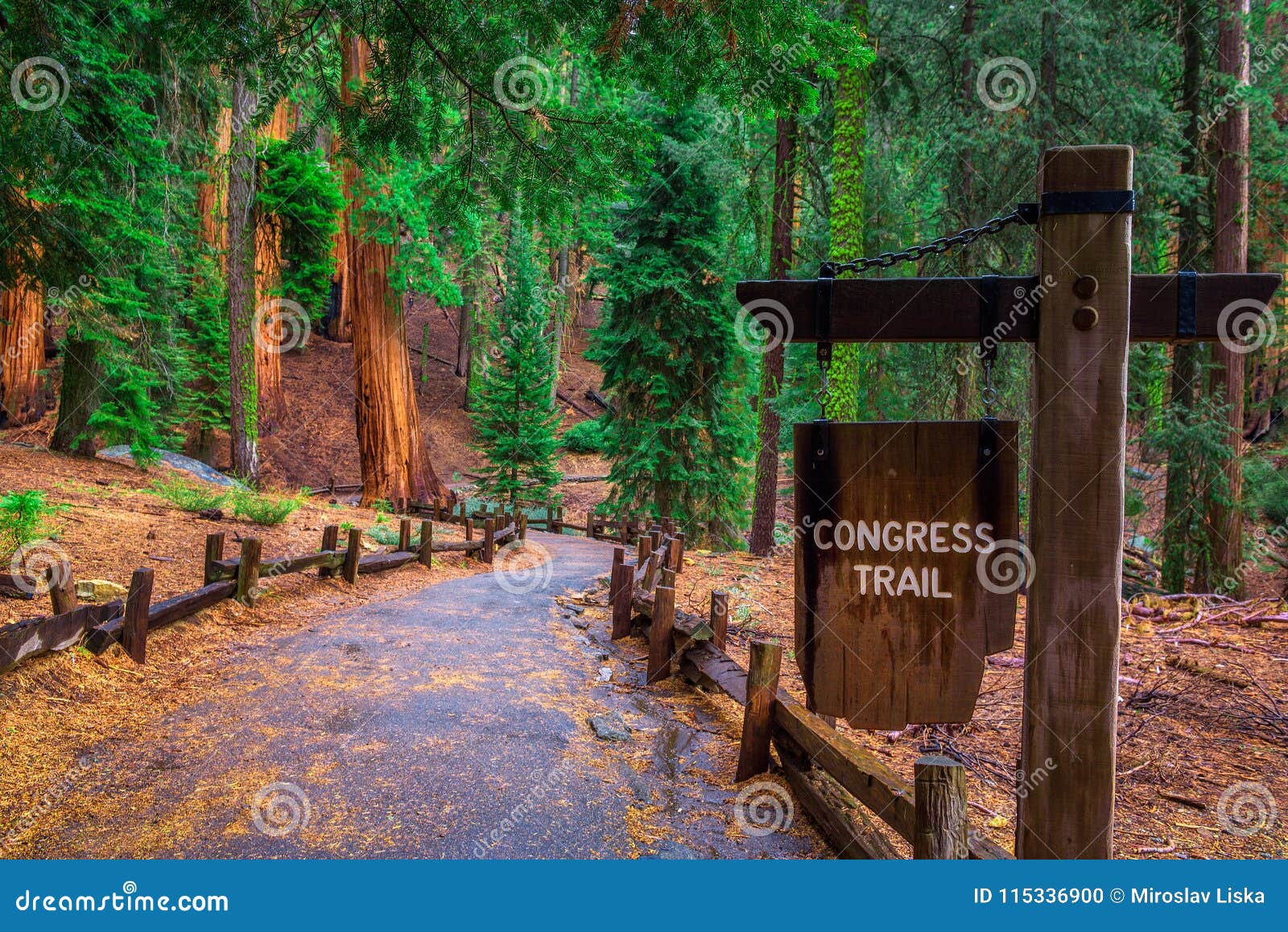 congress trail sign in sequoia national park