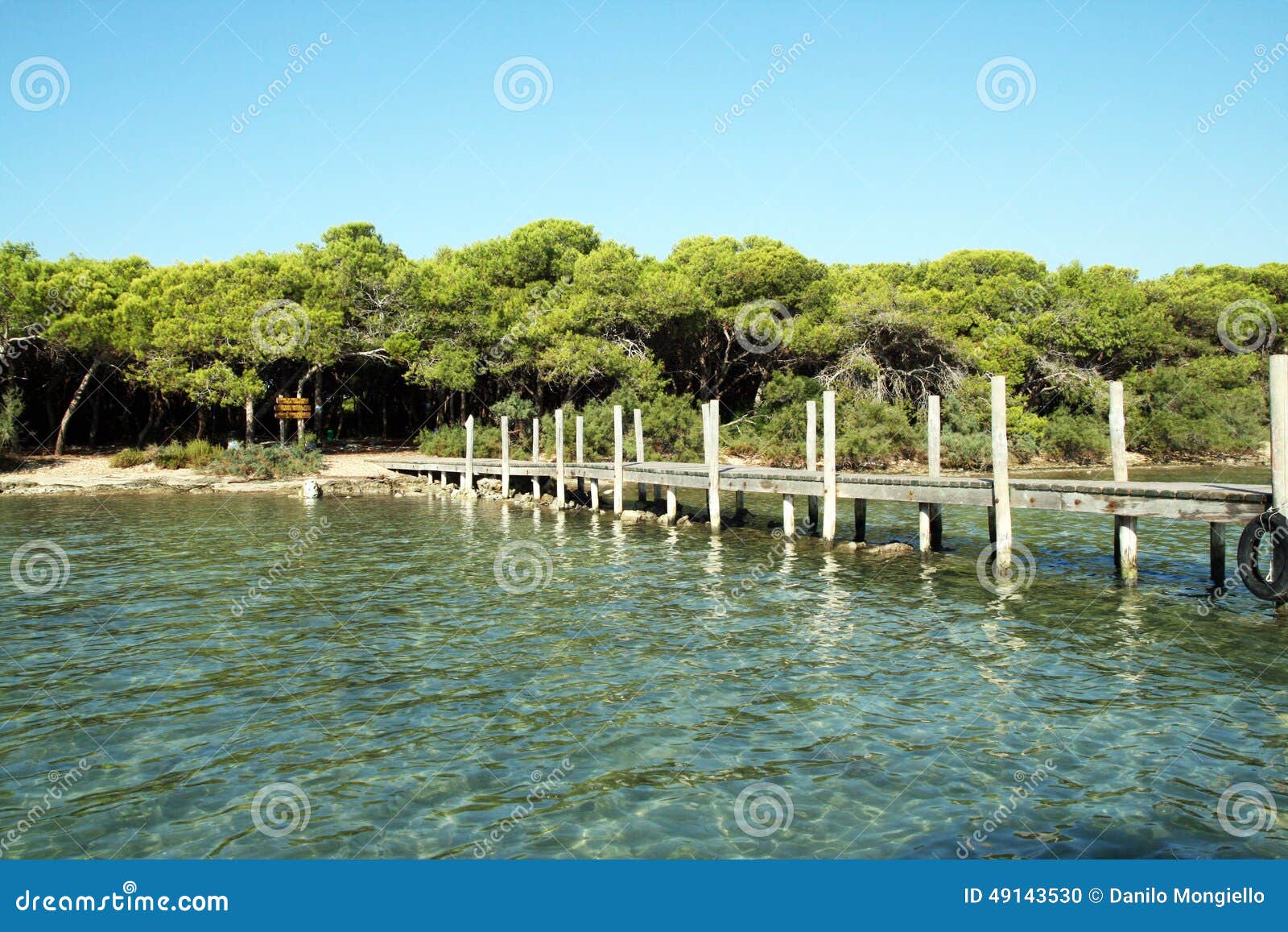 coniglio island