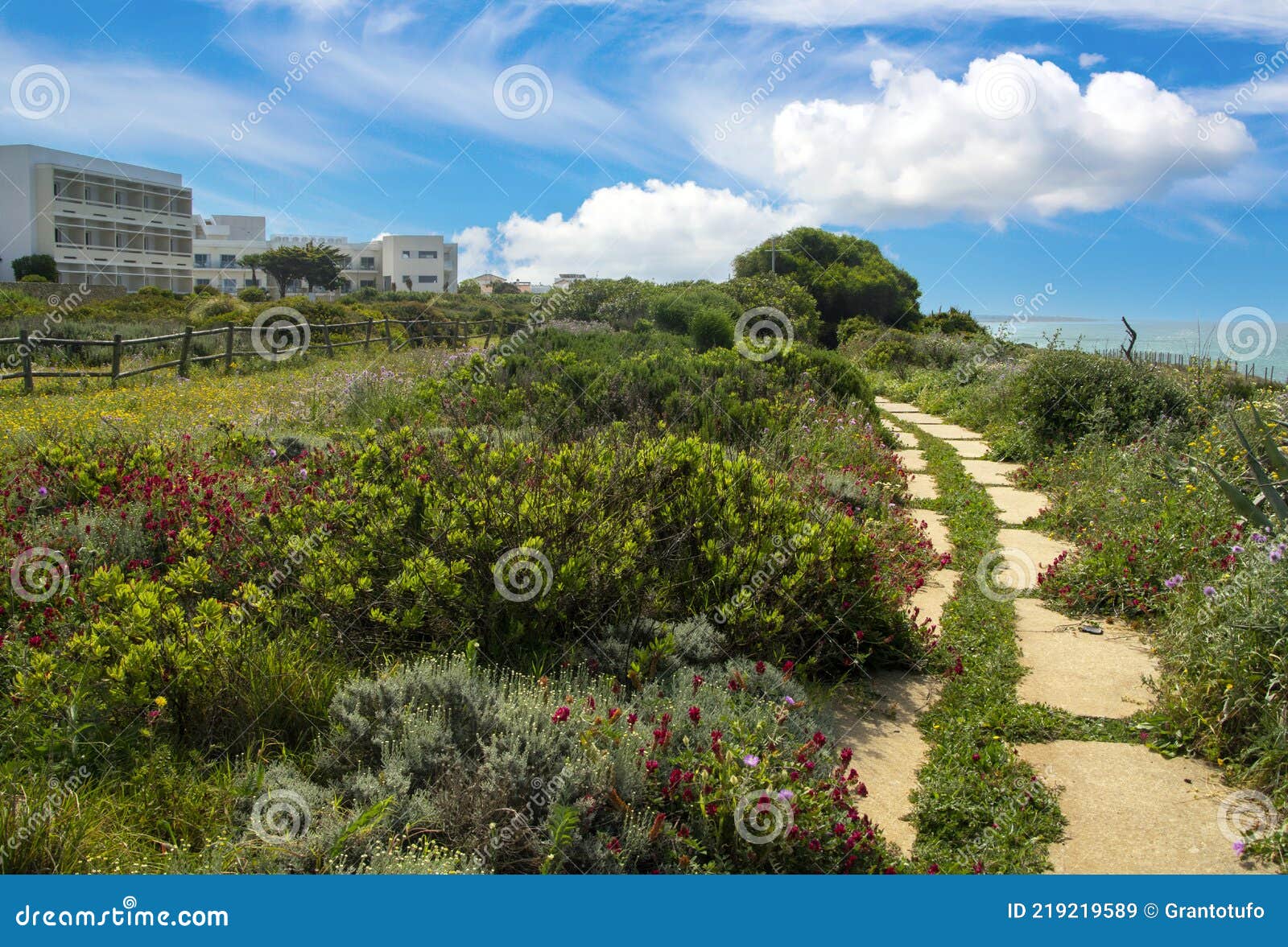 View of Conil de la Frontera, Andalucia, Spain. Stock Photo by  ©LisaStrachan 37908255