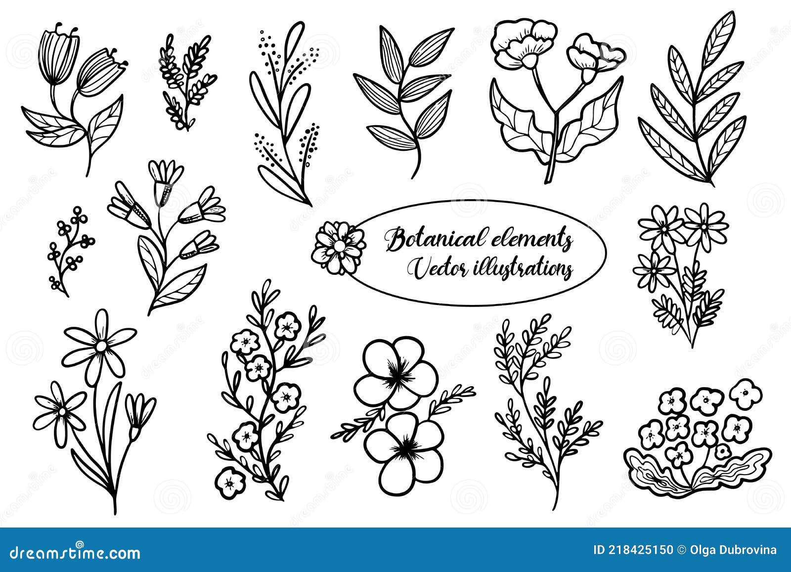 Conjunto de coleção de desenho à mão de vegetação botânica