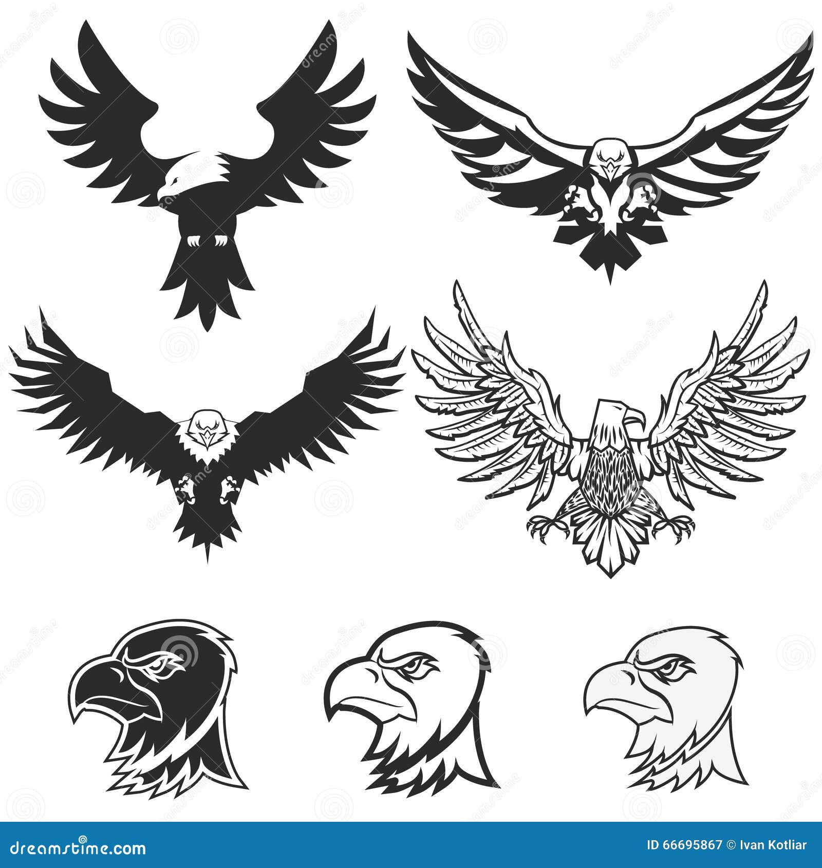 Conjunto De águilas Diseñe Los Elementos Para El Logotipo, Etiqueta,  Emblema, Te De La Insignia Ilustración del Vector - Ilustración de  contorno, negro: 66695867