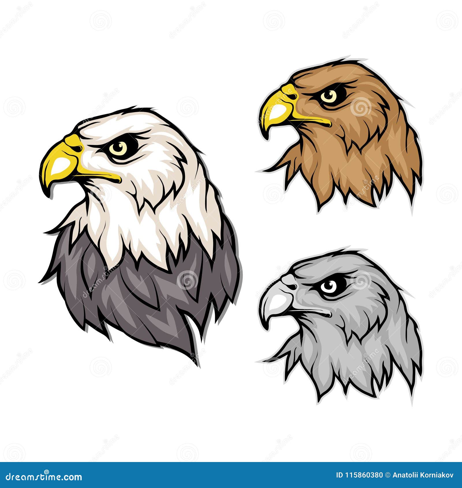 Conjunto De águilas Logotipo Del águila Calva Dibujo Salvaje De Los Pájaros  Cabeza De Un águila Ilustración del Vector - Ilustración de libertad,  realista: 115860380
