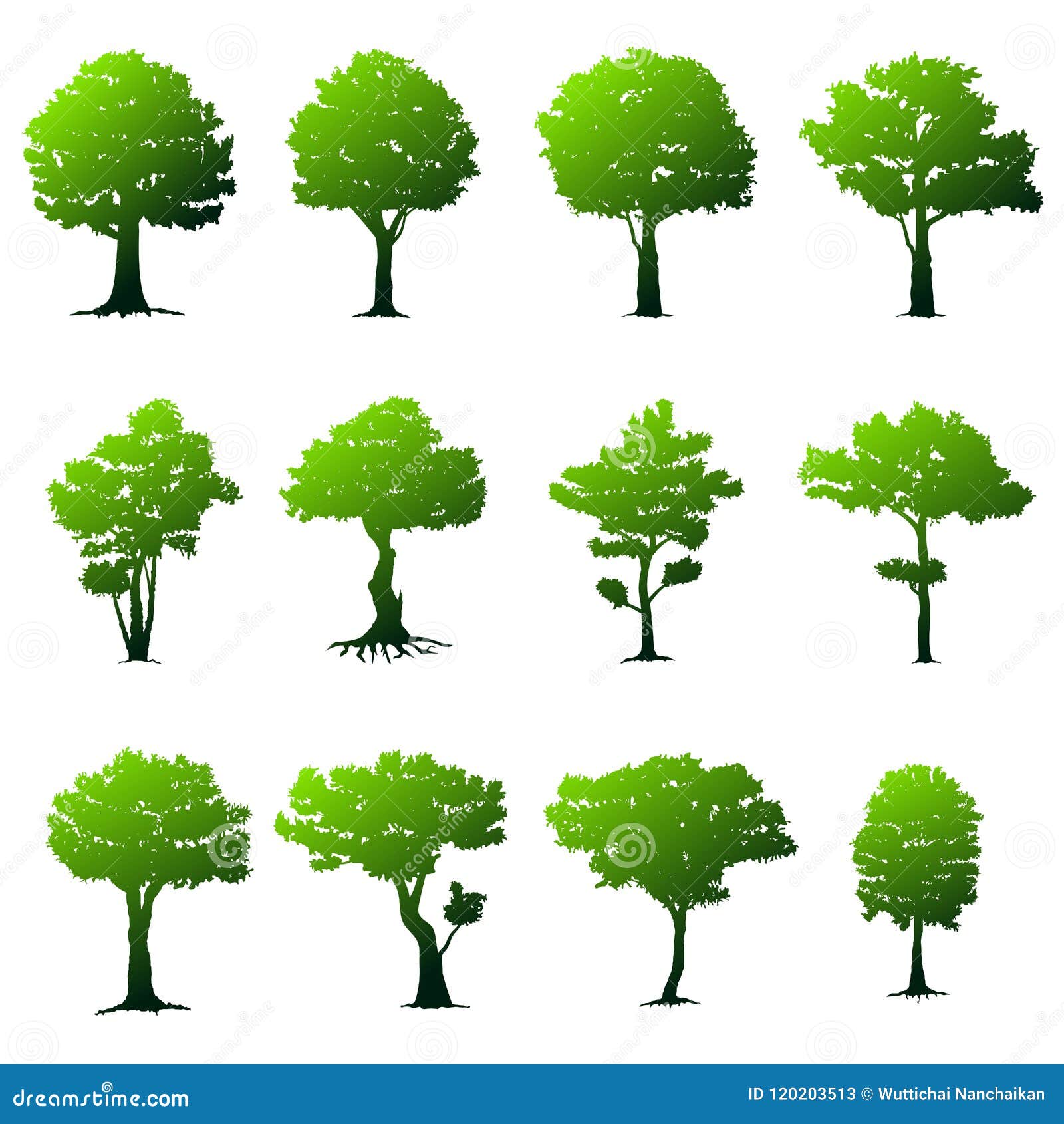 Conjunto de árboles ilustración del vector. Ilustración de bosque -  120203513